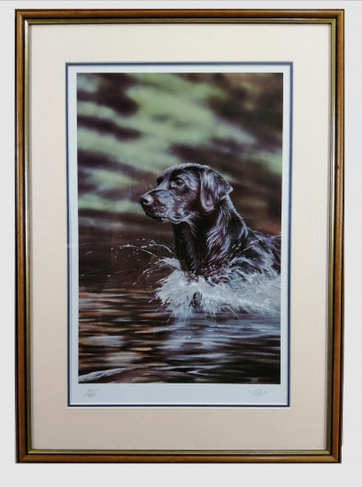 Watch Splash - Brown Framed