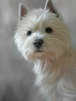 West Highland Terrier (40th Anniversary Image) - Print only