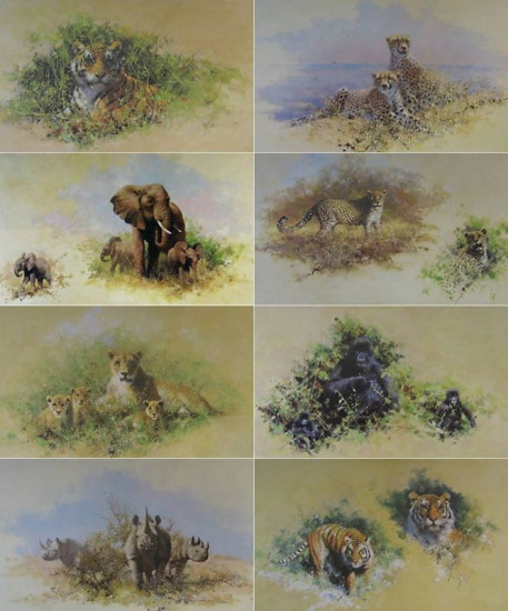 Wildlife Of The World Portfolio (Set of 8) - Framed