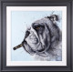 Winston Cigar - Black-Grey Framed