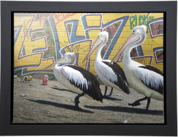 Wize Gize - Canvas - Framed - Framed Box Canvas