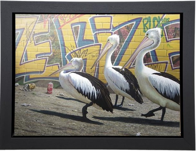 Wize Gize - Canvas - Framed