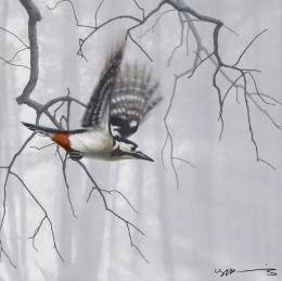 Taking Flight - Woodpecker - Original - Framed