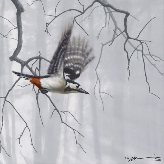 Taking Flight - Woodpecker - Original - Framed Taking Flight - Woodpecker - Original - Framed