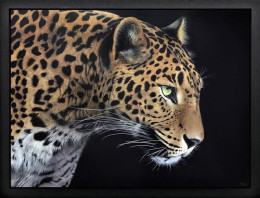 Yala - Black Framed - Framed Box Canvas