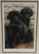 Young Guns - Print