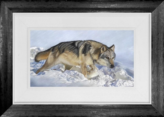 Arctic Wolf - Original - Framed Arctic Wolf - Original - Framed