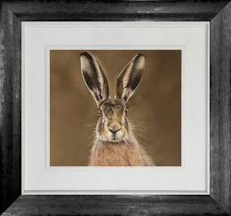 Autumn Gaze - Original - Framed