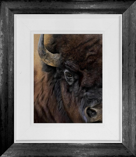 Bison - Original - Framed Bison - Original - Framed