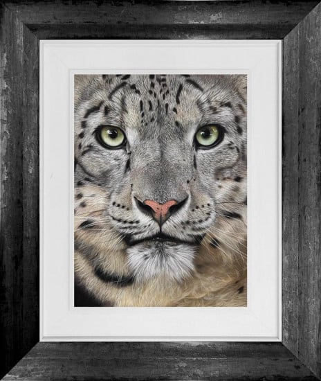 Emerald Gaze - Original - Framed Emerald Gaze - Original - Framed