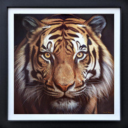 Emperor's Gaze - Original - Framed