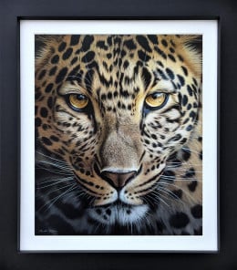 Golden Gaze - Original - Black Framed Golden Gaze - Original - Black Framed