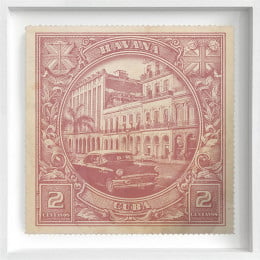 Havana - Limited Edition - White Framed Havana - Limited Edition - White Framed