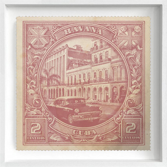 Havana - Limited Edition - White Framed Havana - Limited Edition - White Framed