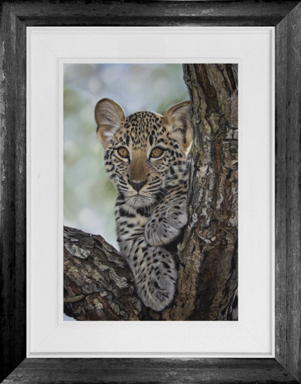 High Hopes - Original - Framed High Hopes - Original - Framed