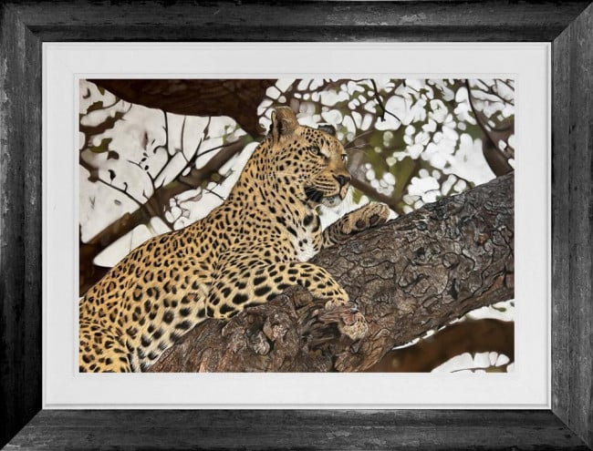 King Of The Canopy - Original - Framed King Of The Canopy - Original - Framed