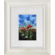Land Before Memory II - Original - Framed