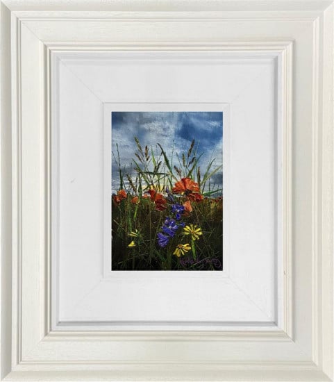 Meadow In Wild Colour - Original - Framed Meadow In Wild Colour - Original - Framed