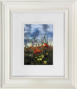 Morning Haze - Original - Framed