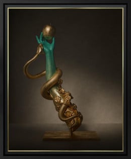 Perseverance - 3D Lenticular - Limited Edition - Framed Perseverance - 3D Lenticular - Limited Edition - Framed