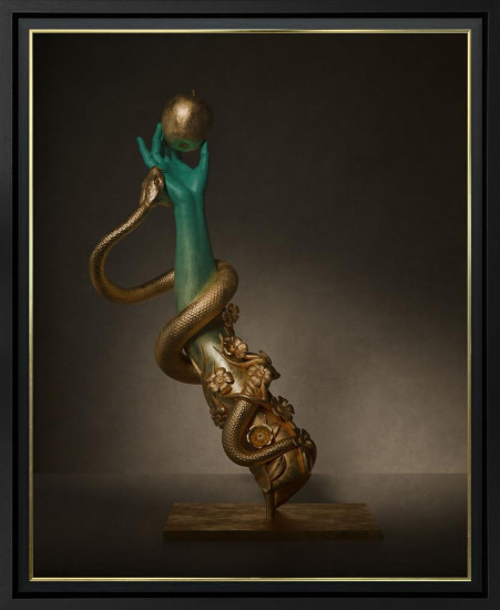 Perseverance - 3D Lenticular - Limited Edition - Framed Perseverance - 3D Lenticular - Limited Edition - Framed