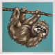 Peter (Sloth) - Original - Framed