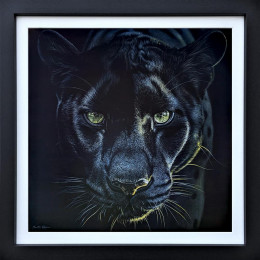 Prince's Gaze - Original - Framed