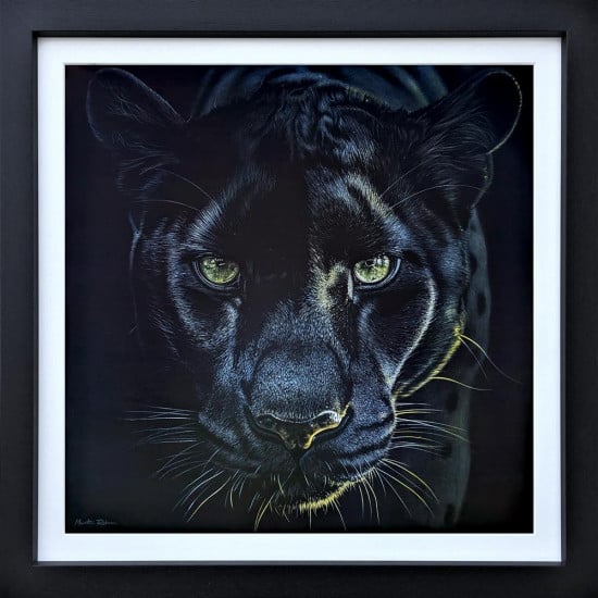 Prince's Gaze - Original - Framed Prince's Gaze - Original - Framed