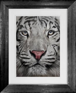 Spirit Of The Snow - Original - Framed Spirit Of The Snow - Original - Framed