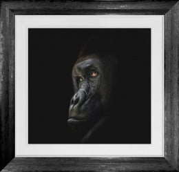 Strength In Darkness - Original - Framed Strength In Darkness - Original - Framed