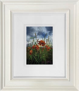 The Gentle Presence Of Poppies - Original - Framed