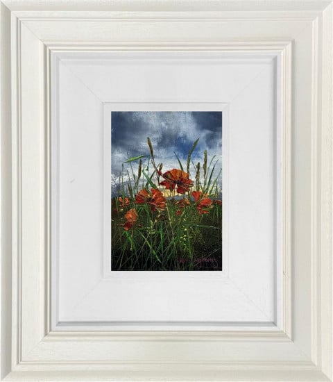 The Gentle Presence Of Poppies - Original - Framed The Gentle Presence Of Poppies - Original - Framed