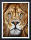 The King - Deluxe Limited Edition - Black Framed
