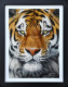 The Prince - Limited Edition - Black Framed