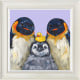 The Splish Splash Squad - Canvas Limited Edition - Framed