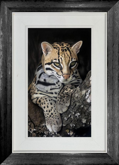 Waiting For Dusk - Original - Framed Waiting For Dusk - Original - Framed