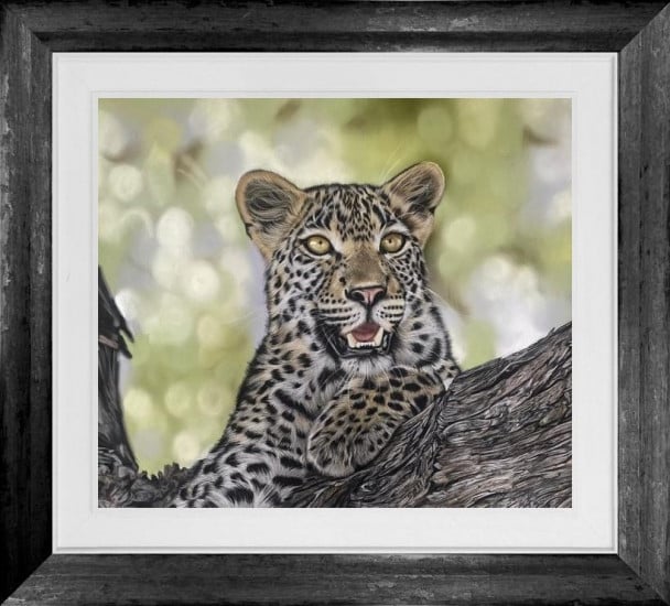 Wild At Heart - Original - Framed Wild At Heart - Original - Framed