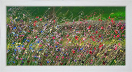 Wildflowers On The Way To SnowshilI - Original - Framed