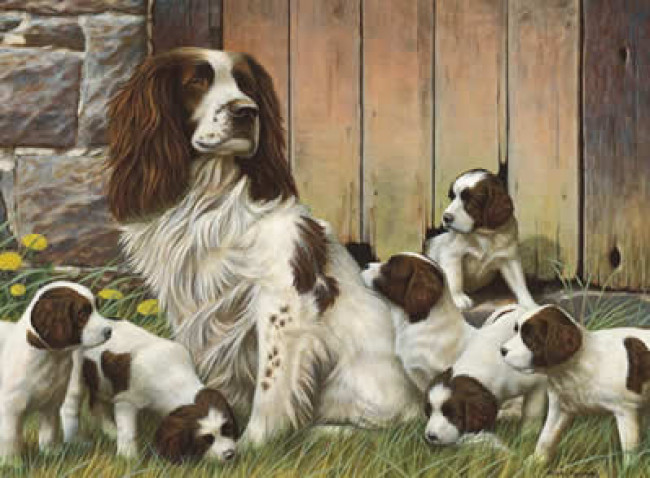 Dad's Army - Springer Spaniels - Original - Framed