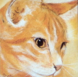 Face Value - Ginger Tom - Print