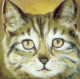 Face Value - Green Tabby - Print