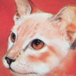 Face Value - Red Siamese - Print