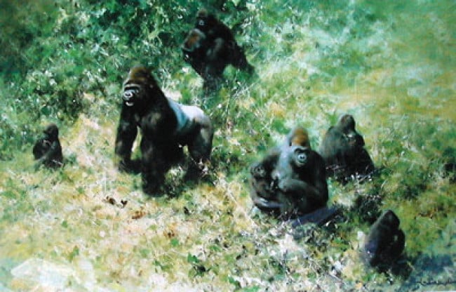 Lowland Gorillas - Print only Lowland Gorillas - Print only