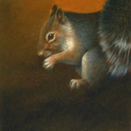 Squirrel - Original - Framed