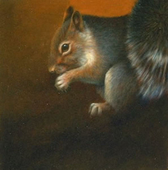 Squirrel - Original - Framed Squirrel - Original - Framed