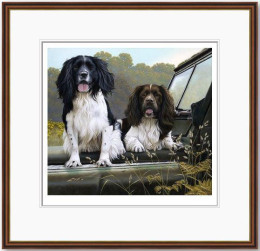 Off Roaders - Dark Wood Framed