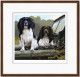 Off Roaders - Dark Wood Framed