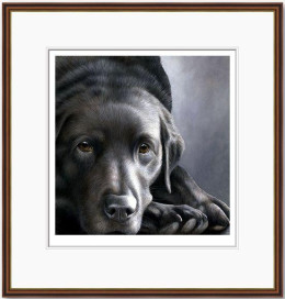 Dog Tired Series - Black Labrador - Dark Wood Framed