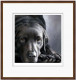 Dog Tired Series - Black Labrador - Dark Wood Framed