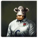 Rugby Bull - Box Canvas